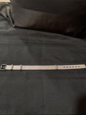 Stainless steel small adjustable breathable belt Pet collar